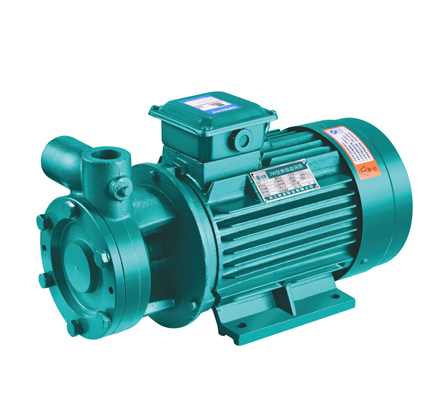 W single stage single suction scroll pump